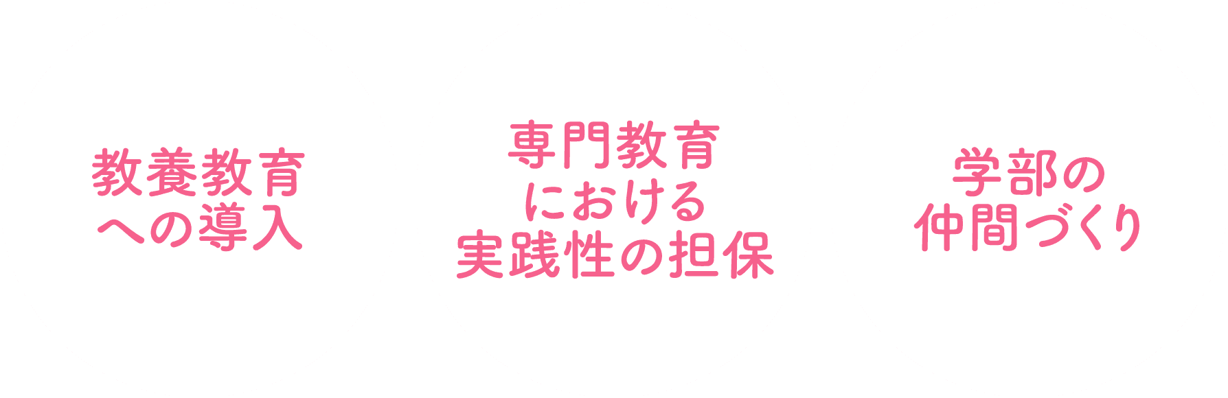 教養教育への導入 専門教育における実践性の担保 学部の仲間づくり